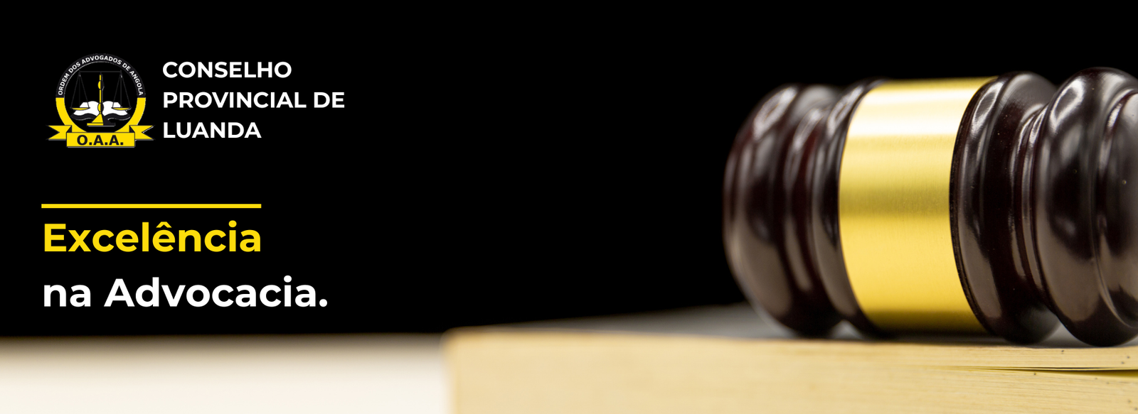 Banner3