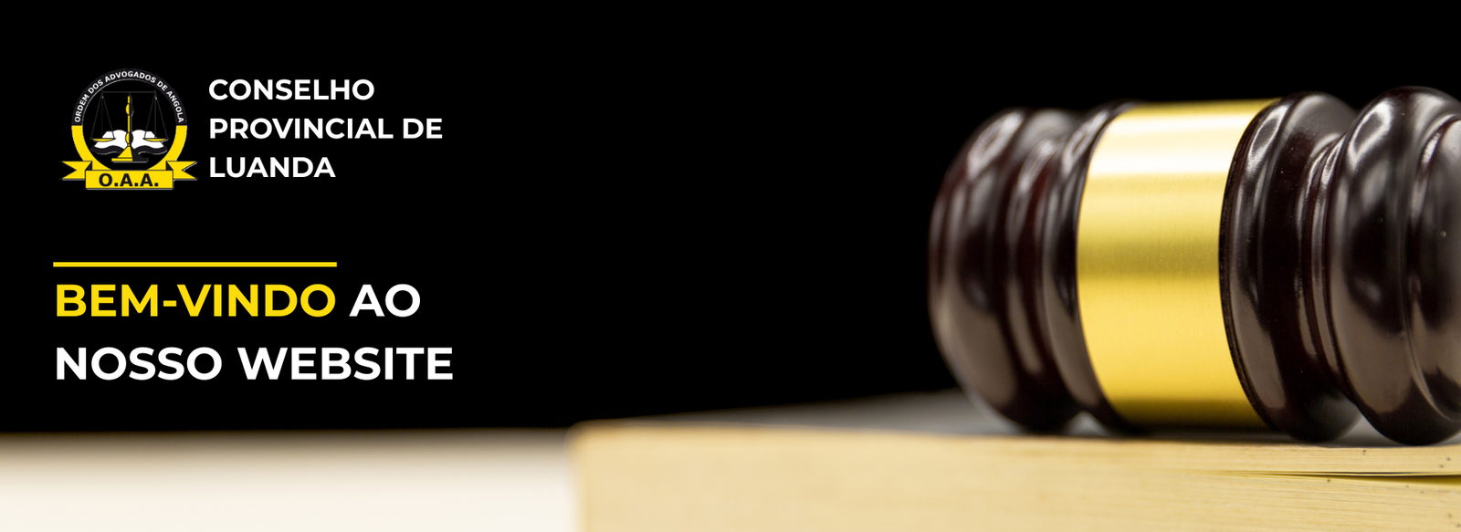 Banner1