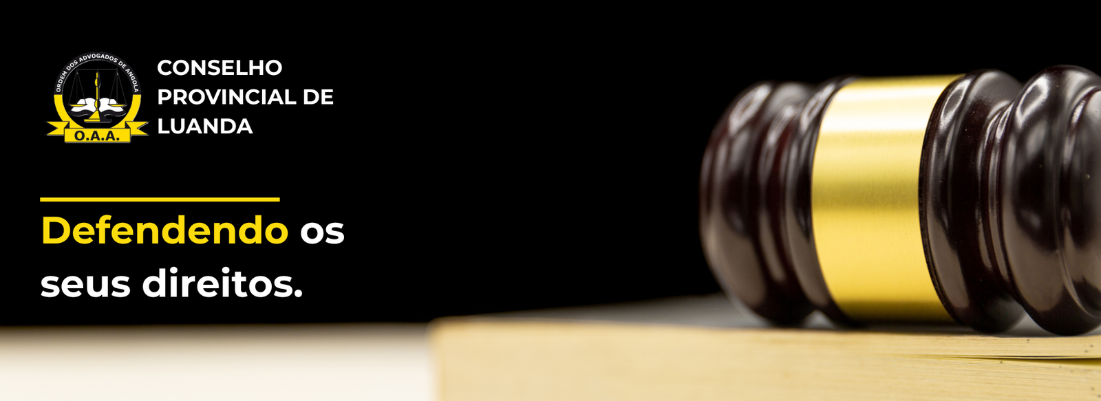 Banner2